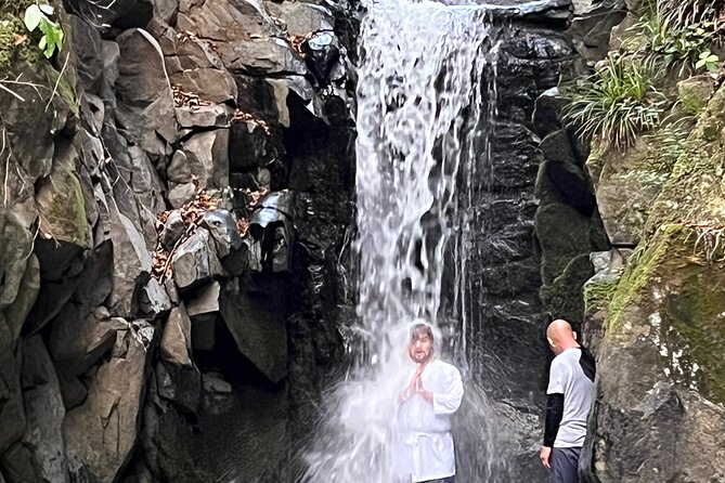 Tokyo Seasonal Peaks Discovery - Must-Try Seasonal Activities