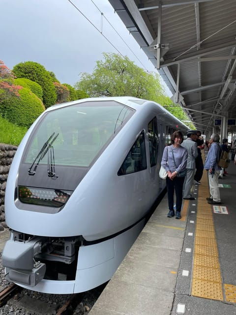 Tokyo: Self Guided Trip to Nikko // Made by Local Guides - Suitability and Accessibility