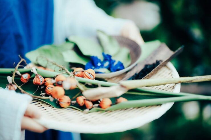Tokyo, Sendagi : NIPPON Herbal Tea Ceremony - Good To Know