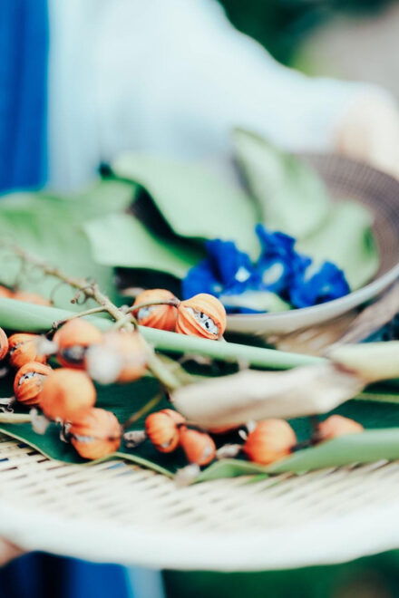 Tokyo, Sendagi : NIPPON Herbal Tea Ceremony - Venue Location