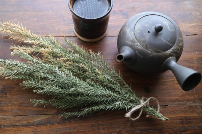 Tokyo, Sendagi : NIPPON Herbal Tea Ceremony - Accessibility Information