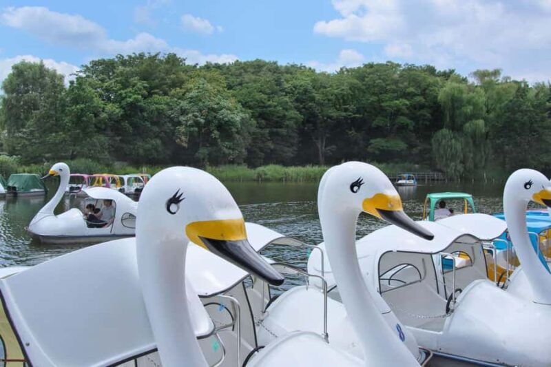 Tokyo: Shakujii Park Tour with Lacal Udon - Discover Tokyo’s Quiet Side: Shakujii Park Tour with Local Udon