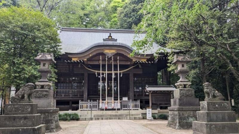 Tokyo: Shakujii Park Tour with Lacal Udon - Who Would Love This Tour?