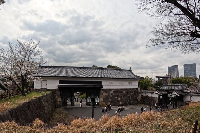 Tokyo Shiba Inu Walk | Picnic with Ginta at Edo Castle Gardens - Final Thoughts
