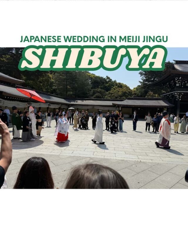 Tokyo: Shibuya, Cat Street, Harajuku & Meiji Walking Tour - Good To Know