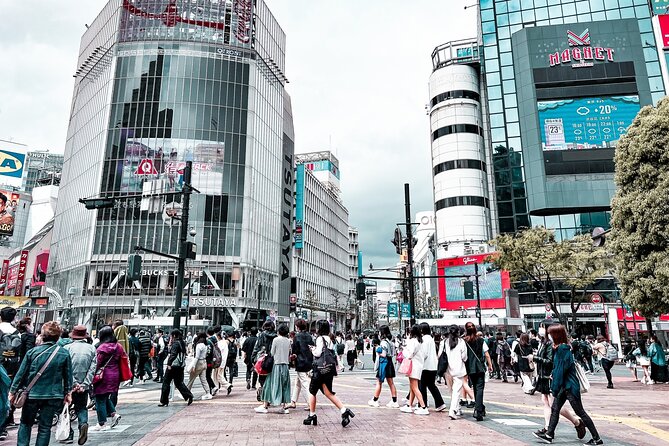 Tokyo Shibuya Crossing and Hachi the Dog Walking Tour - Accessibility and Capacity