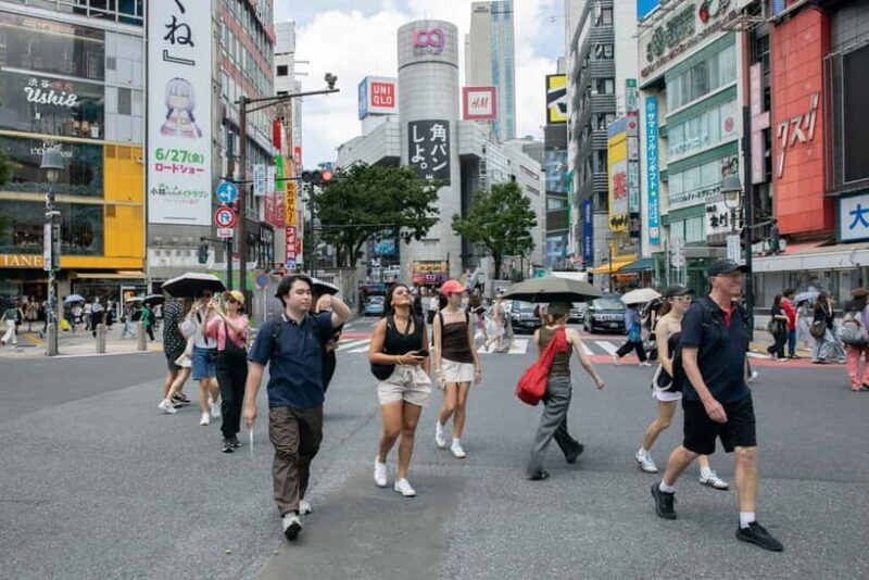 Tokyo: Shibuya Crossing & Hidden Streets Walking Tour - Good To Know