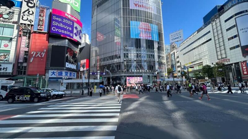 Tokyo: Shibuya, Harajuku & Meiji Shrine Walking Tour - Good To Know