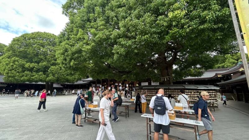 Tokyo: Shibuya, Harajuku & Meiji Shrine Walking Tour - Frequently Asked Questions