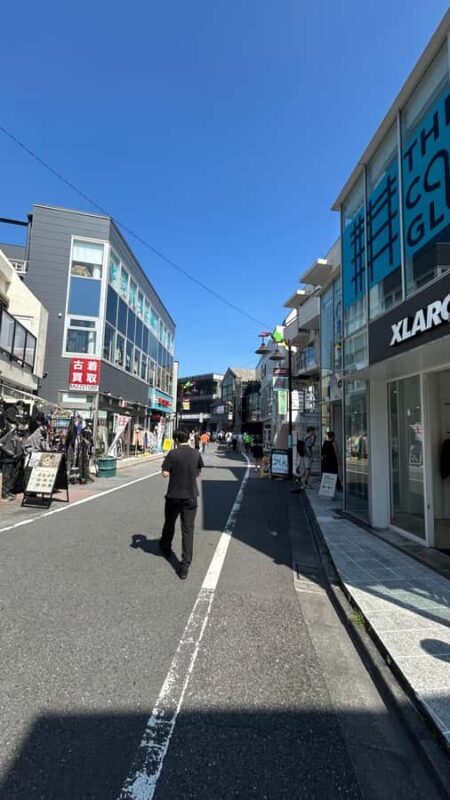 Tokyo: Shibuya, Harajuku & Meiji Shrine Walking Tour - Yoyogi Park and the Loop Back to Shibuya