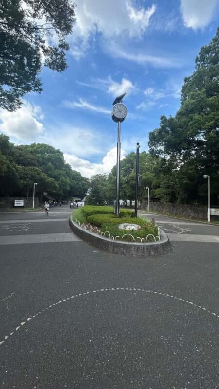 Tokyo: Shibuya, Harajuku & Meiji Shrine Walking Tour - Who Is This Tour Best For?