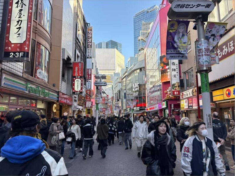 Tokyo: Shibuya Highlights & Hidden Gems Walking Tour - An In-Depth Look at Shibuya: What to Expect