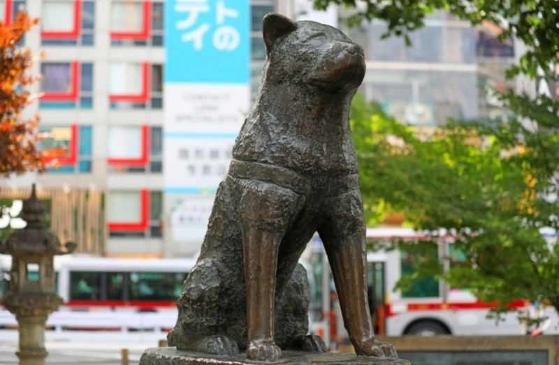 Tokyo Shibuya & Shinjuku Night Food Tour - The train ride to Shinjuku