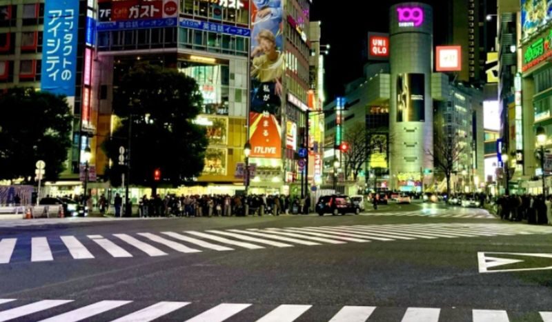 Tokyo Shibuya & Shinjuku Night Food Tour - Kabukicho after dark