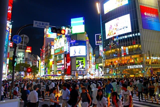 Tokyo Shibuya & Shinjuku Night Food Tour - Should you book it?