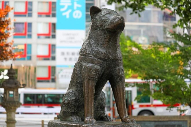 Tokyo: Shibuya Walking Tour With Crossing & Hachiko Statue - Experience Description