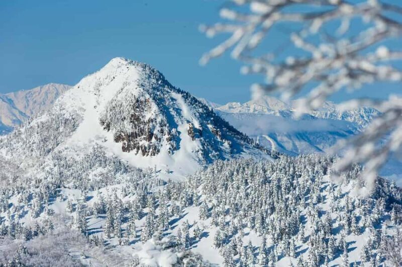 Tokyo: Shiga Kogen Ski Resort day Tour With English driver - Good To Know