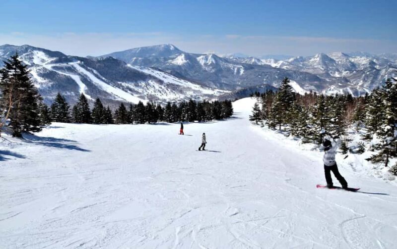 Tokyo: Shiga Kogen Ski Resort day Tour With English driver - Exploring the Itinerary in Detail