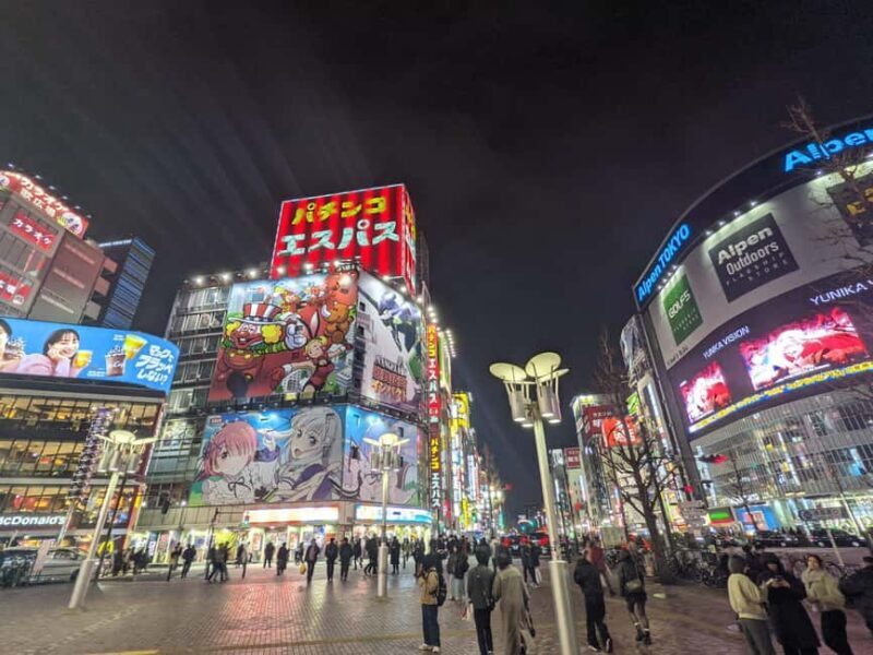Tokyo Shinjuku Customized Tour: See and Walk Around Shinjuku - Final thoughts