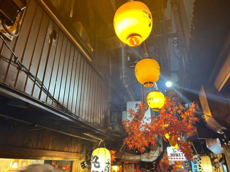Tokyo Shinjuku Food/Street Culture Tour: 15 Dishes+3 Drinks - Who Would Enjoy This Tour?
