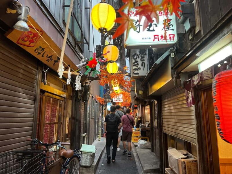 Tokyo: Shinjuku Food Tour (15 Dishes and 4 Eateries) - Practical Tips and Considerations