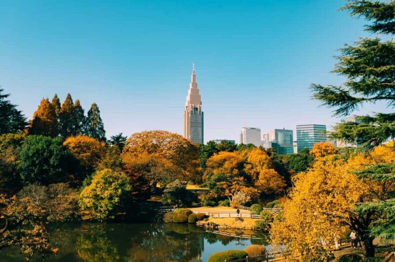 Tokyo: Shinjuku Gyoen Autumn Leaves Stroll (Entry Included) - An In-Depth Look at the Shinjuku Gyoen Autumn Leaves Stroll