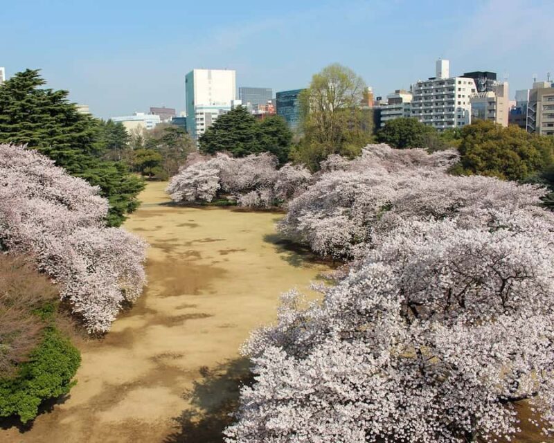 Tokyo: Shinjuku Gyoen Cherry Blossom Tour & Entry - Discovering Shinjuku Gyoen: A Blend of Cultures and Gardens