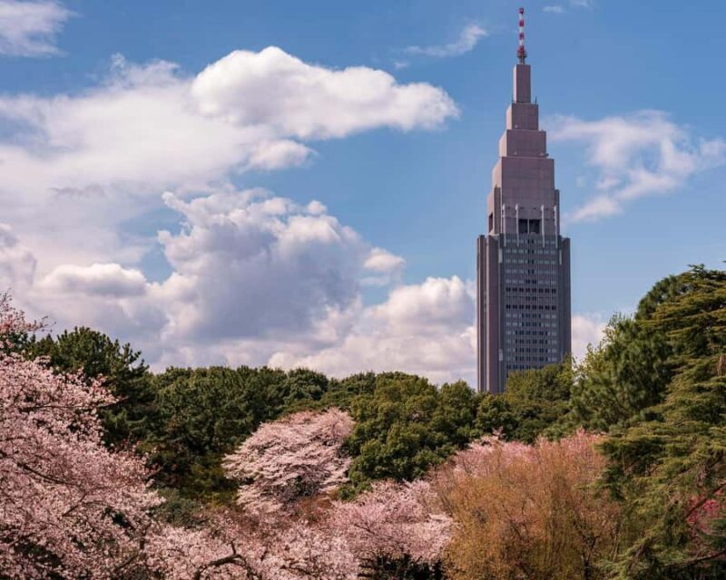 Tokyo: Shinjuku Gyoen Cherry Blossom Tour & Entry - An In-Depth Look at the Shinjuku Gyoen Cherry Blossom Tour