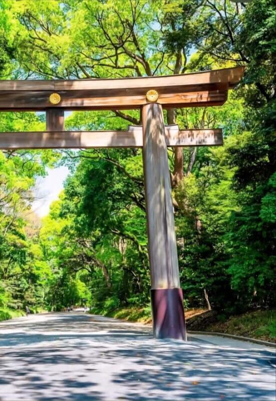 Tokyo: Shinjuku Gyoen, Meiji Shrine, and Shibuya Tour - Good To Know