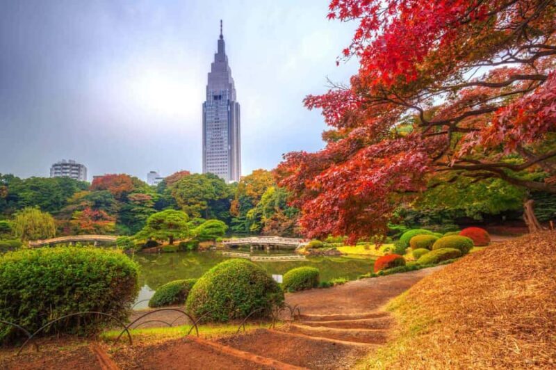 Tokyo: Shinjuku Gyoen, Meiji Shrine, and Shibuya Tour - Good To Know