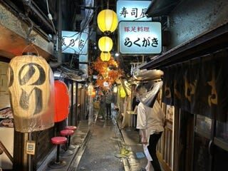 Tokyo Shinjuku: History, Culture & Hidden Alleys Walking Tour - An evening route through Shinjuku’s contrasts