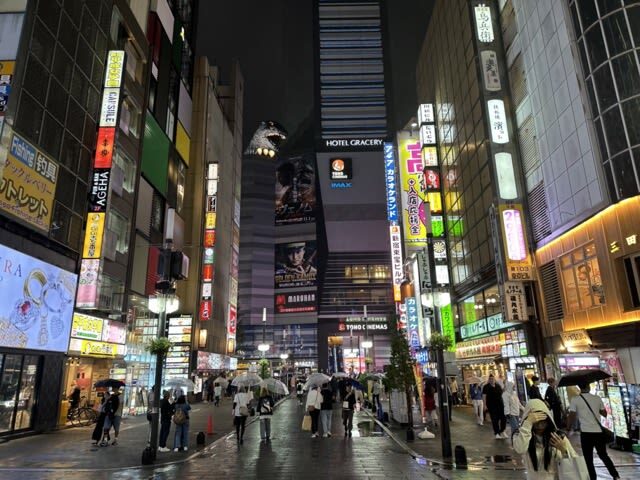 Tokyo Shinjuku: History, Culture & Hidden Alleys Walking Tour - Hanazono Shrine: a pause between city streets