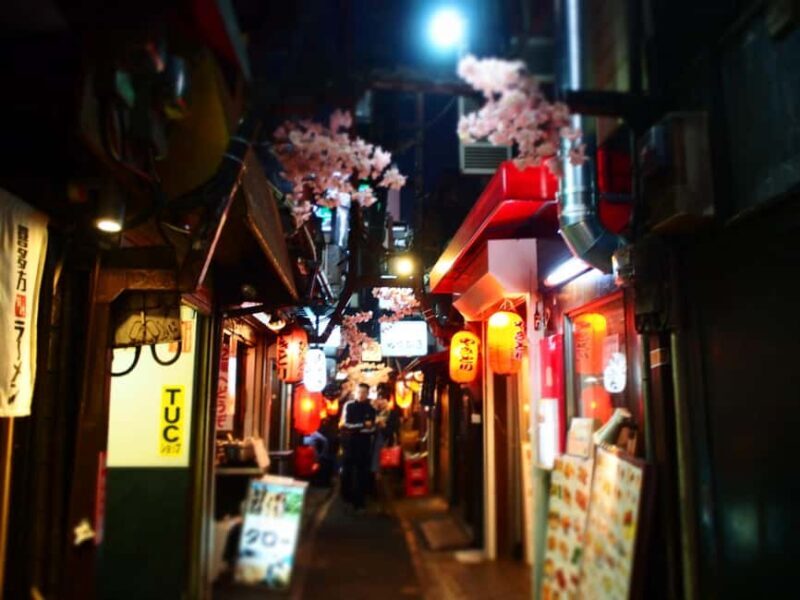 Tokyo: Shinjuku Izakaya Night Hopping Tour - Good To Know