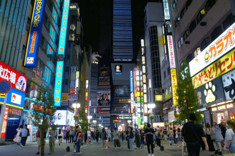 Tokyo: Shinjuku Izakaya Night Hopping Tour - Exploring Shinjuku’s Nightlife: A Detailed Journey