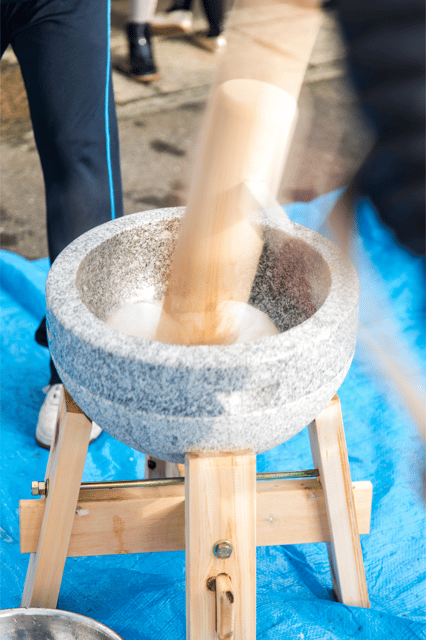 Tokyo Shinjuku: Mochi Pounding Experience With Tasting - Activity Overview