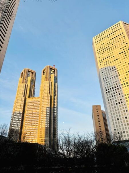 Tokyo: Shinjuku Panorama & Peace Tour With Izakaya Dinner - Meeting Information and Tips
