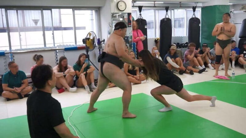 Tokyo Shinjuku: Sanctuary Grand Sumo Experience For Group - Introduction