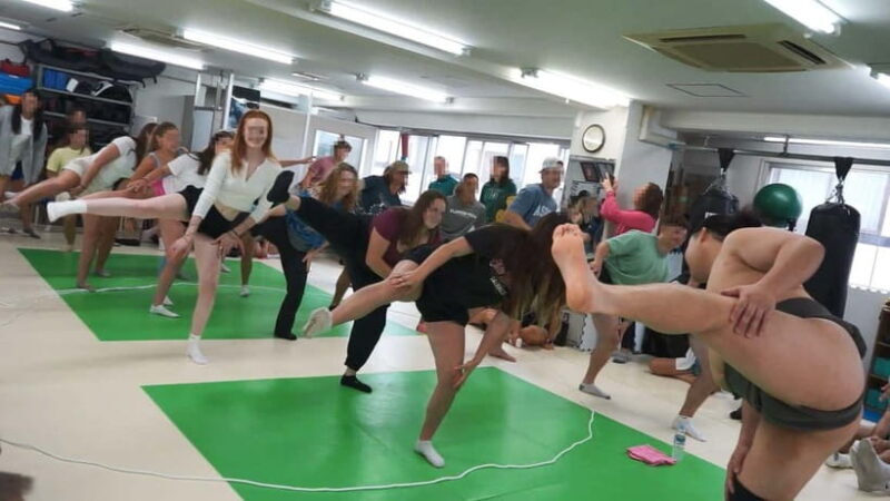 Tokyo Shinjuku: Sanctuary Grand Sumo Experience For Group - Good To Know