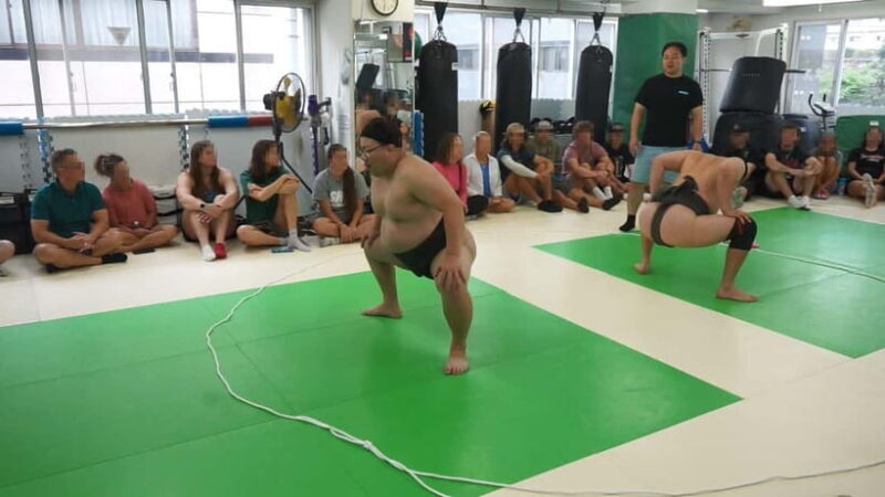 Tokyo Shinjuku: Sanctuary Grand Sumo Experience For Group - Practical Details and Logistics