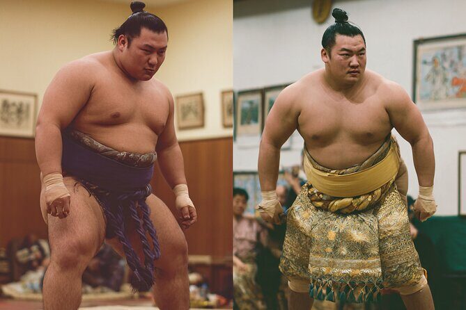 Tokyo Shinjuku Sumo Show & Experience with Photo - A Closer Look at the Sumo Show & Experience