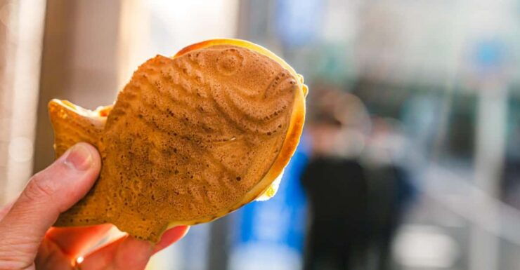 Tokyo Shinjuku: Taiyaki Cooking Class - Good To Know