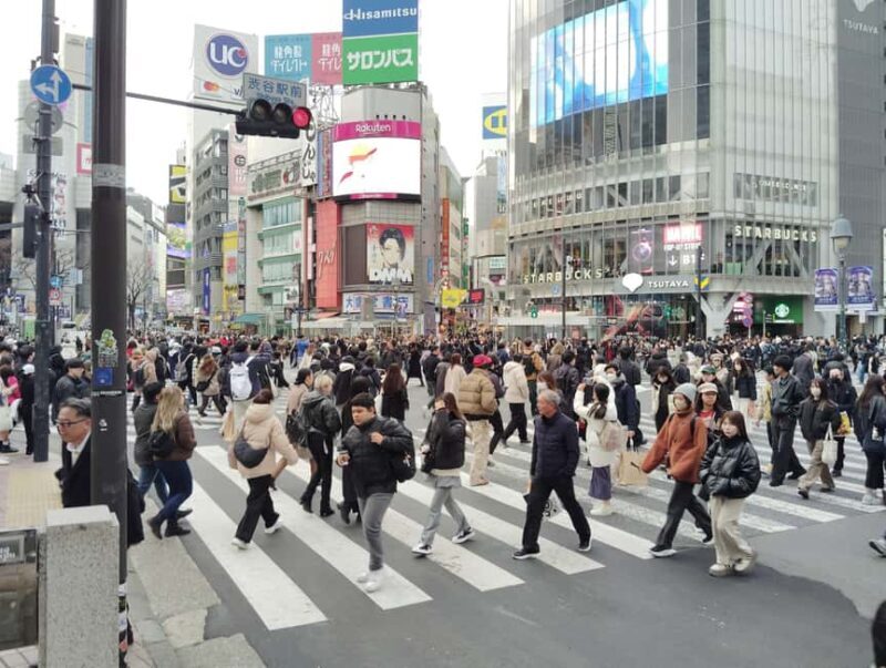 Tokyo: Shinjyuku & Shibuya 2-Hour City Tour - Good To Know