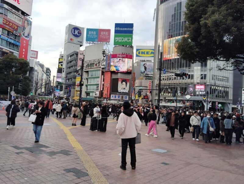 Tokyo: Shinjyuku & Shibuya 2-Hour City Tour - The Sum Up