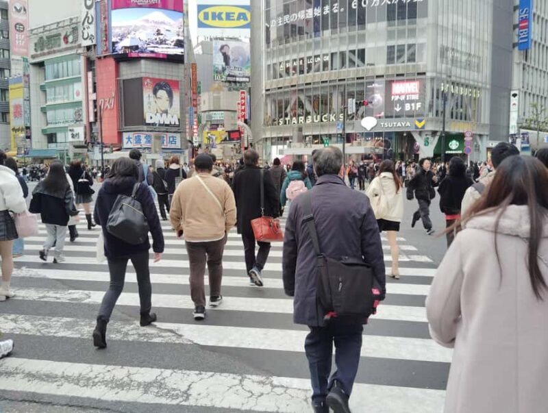 Tokyo: Shinjyuku & Shibuya 2-Hour City Tour - Final Thoughts: The Value of a Quick, Guided Tokyo Fix
