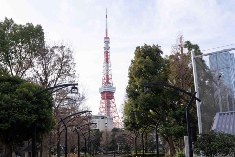 Tokyo: Shinto and Buddhism Walking Tour with Guide - Good To Know