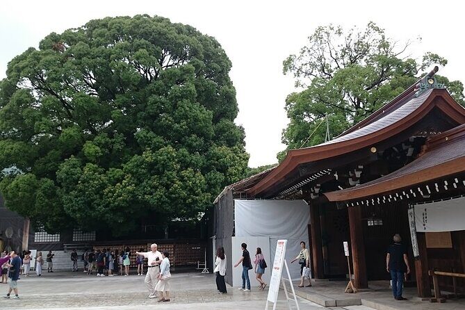 Tokyo Shrine Cultural Walks - Authentic Insights from Reviews