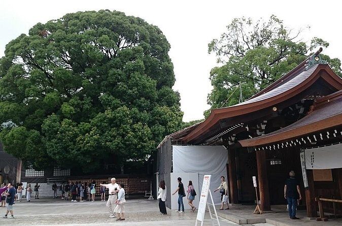 Tokyo Shrine Cultural Walks - Who Should Consider This Tour?