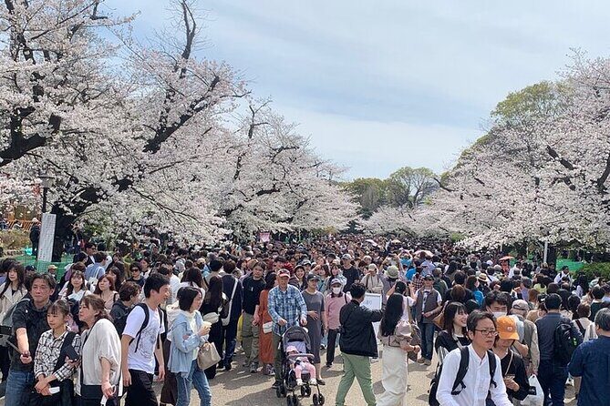 Tokyo Sightseeing/ City Tour by Private Car with English Guide - Final Thoughts