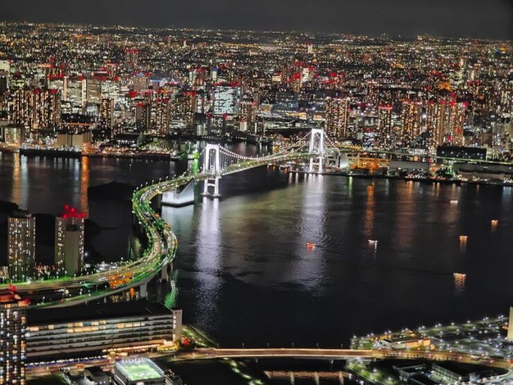 Tokyo Sightseeing Helicopter Tour for 5 Passengers - Experience Highlights