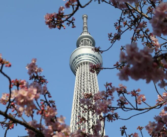 Tokyo Skytree: Admission Ticket and Private Hotel Pickup - Hotel Pickup and Driver Details